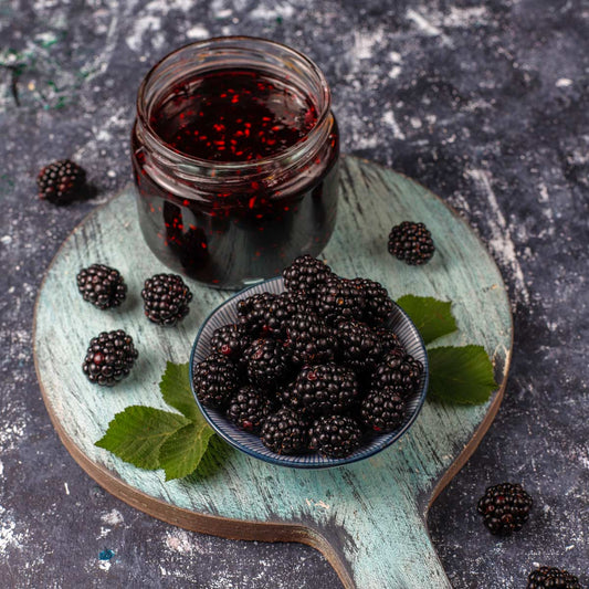 Black seed oil benefits