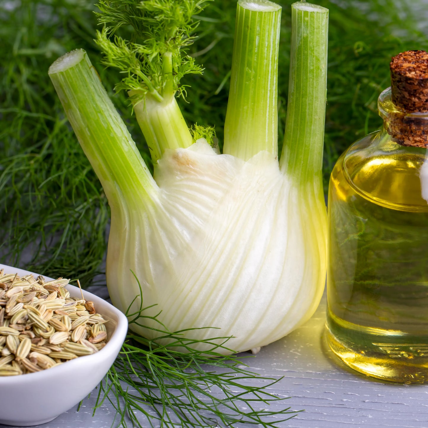 Fennel_Sweet_Oil_1