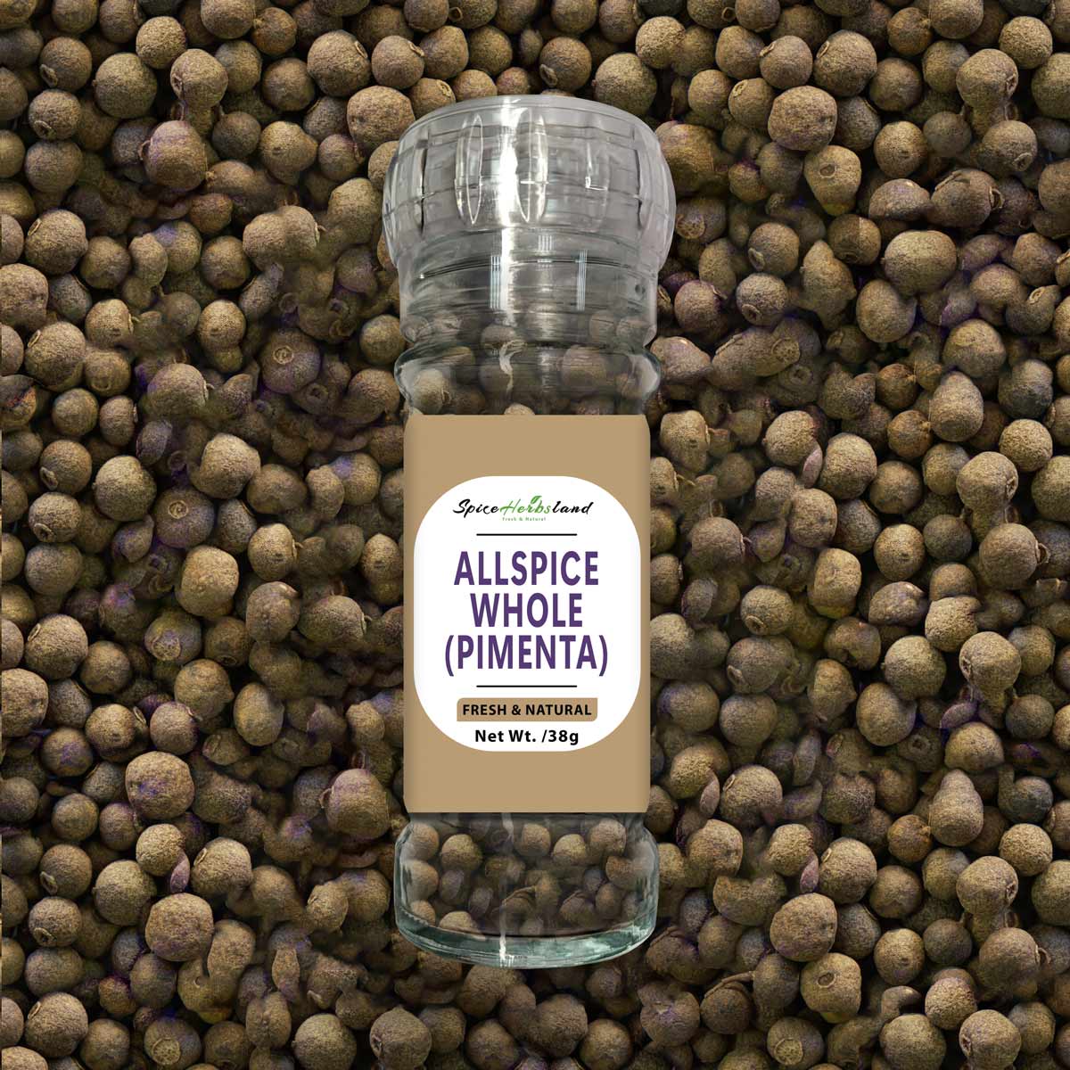 Allspice_whole_Pimenta_SH23_G