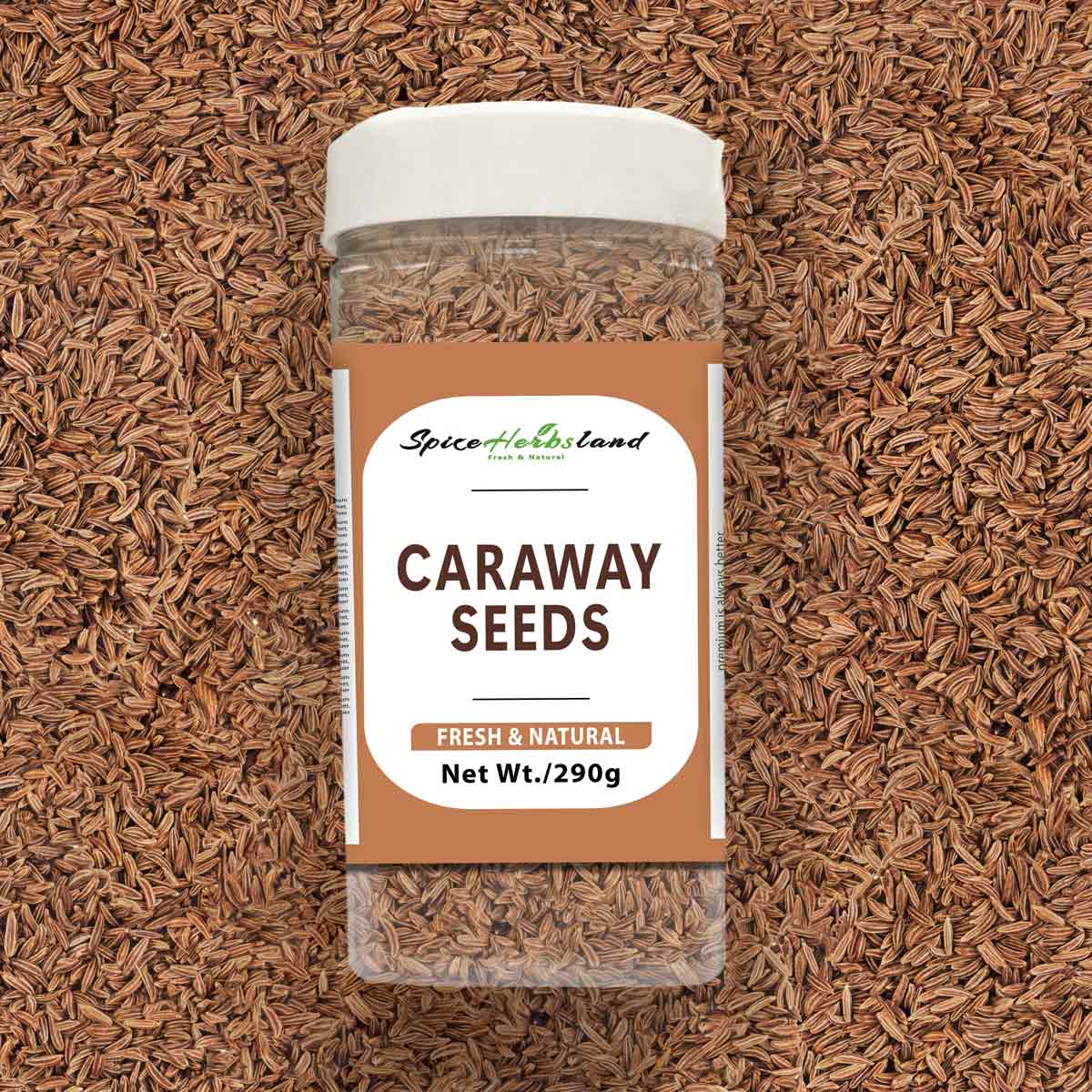 Caraway_seeds_SH13_P