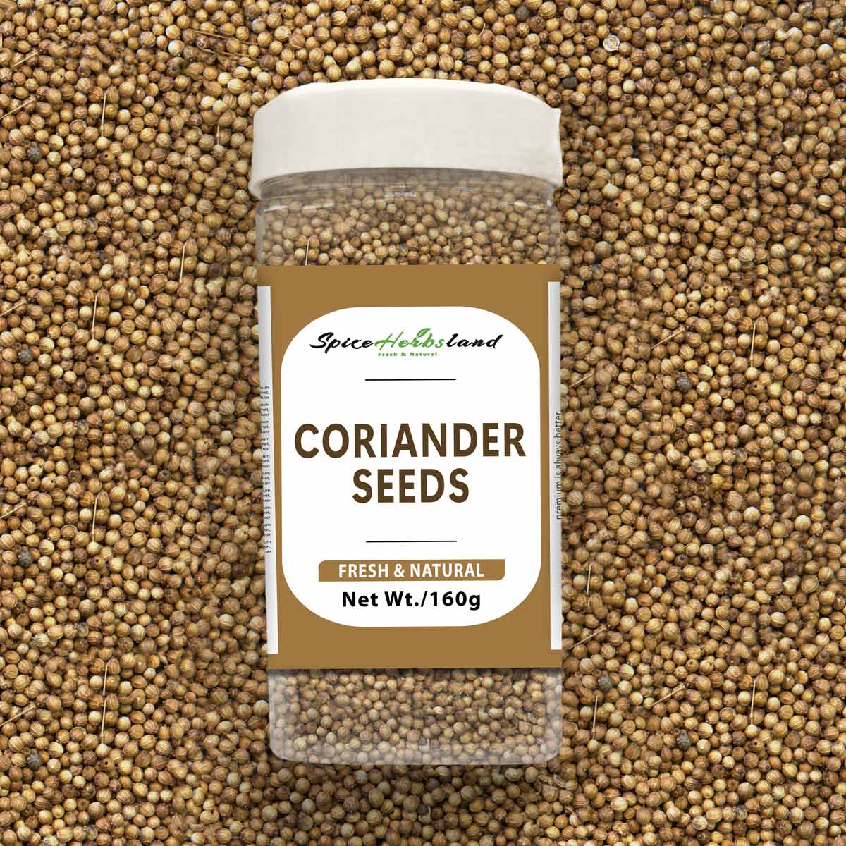 Coriander_seeds_SH16_P