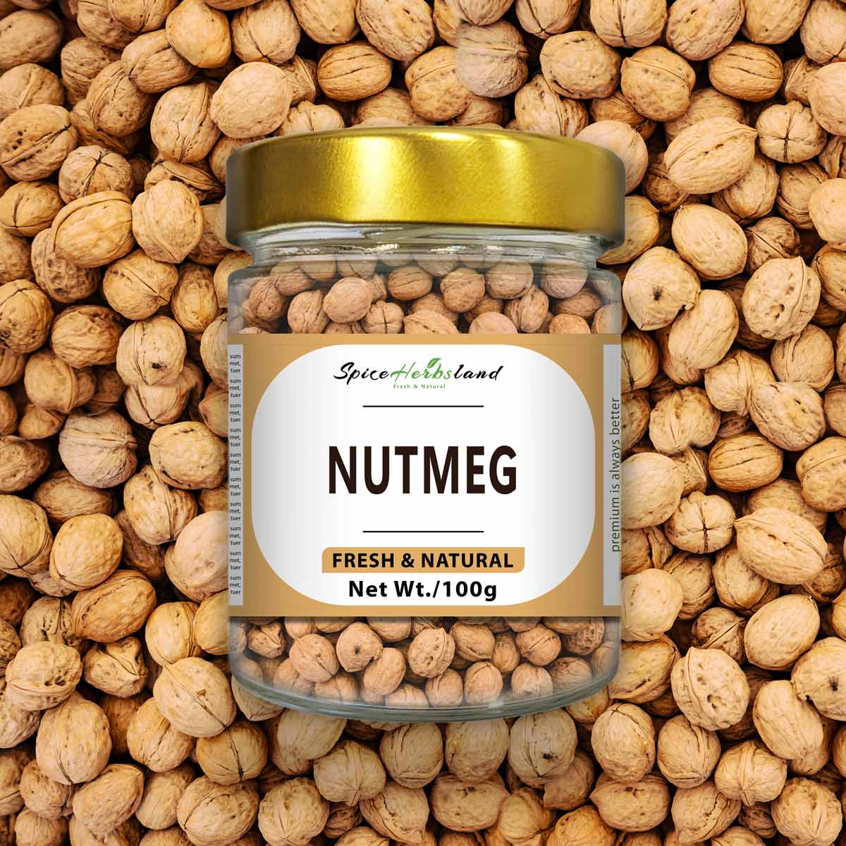 Nutmeg_SH18