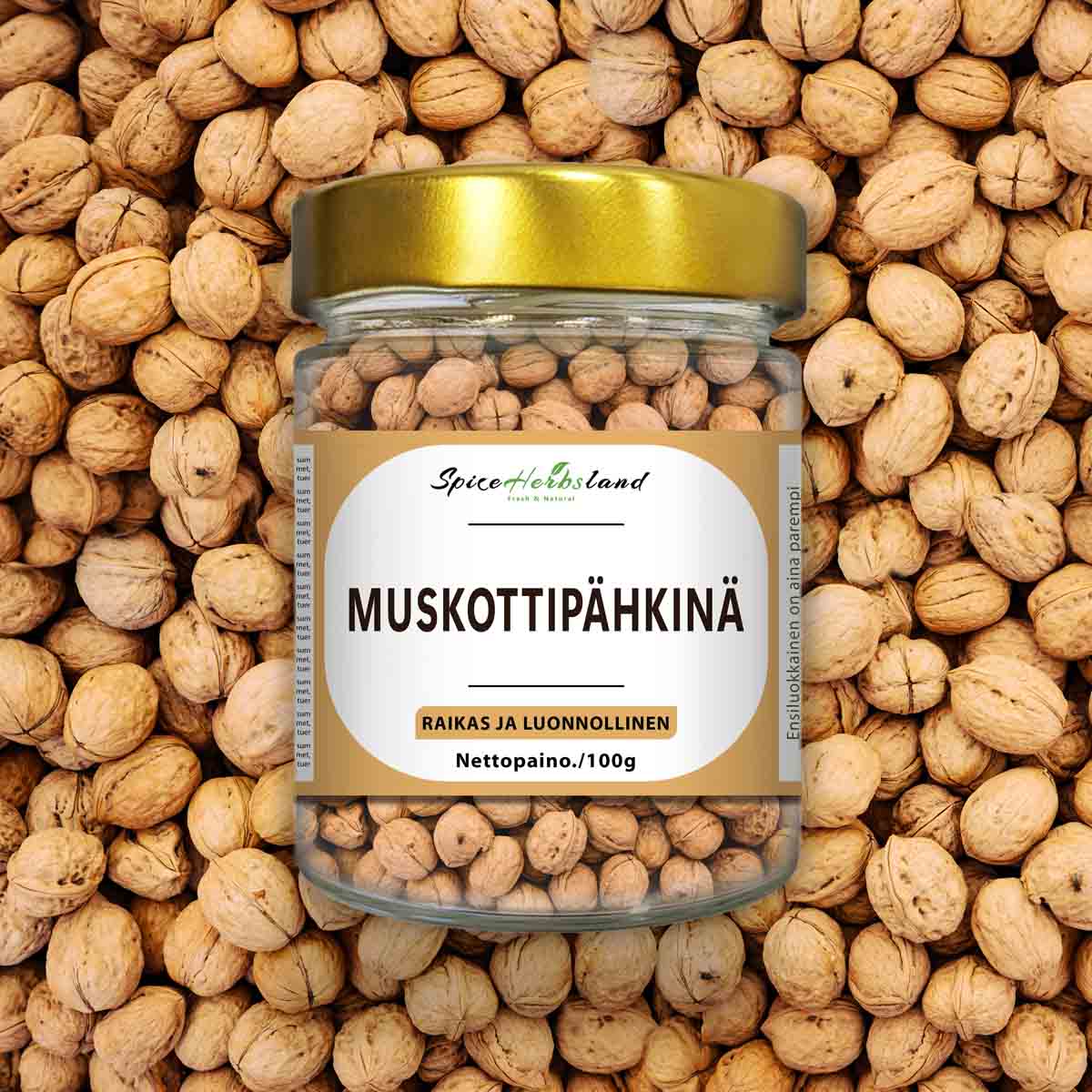 Muskotnöt
