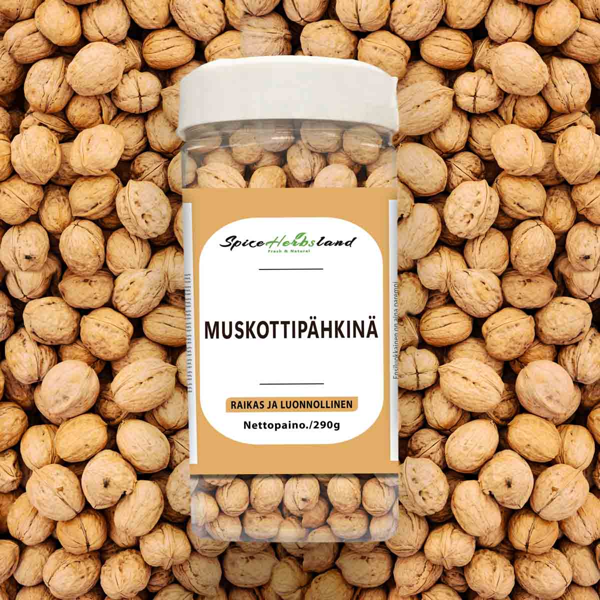 Muskotnöt