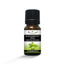 Rantaminttuöljy (Mentha arvensis)