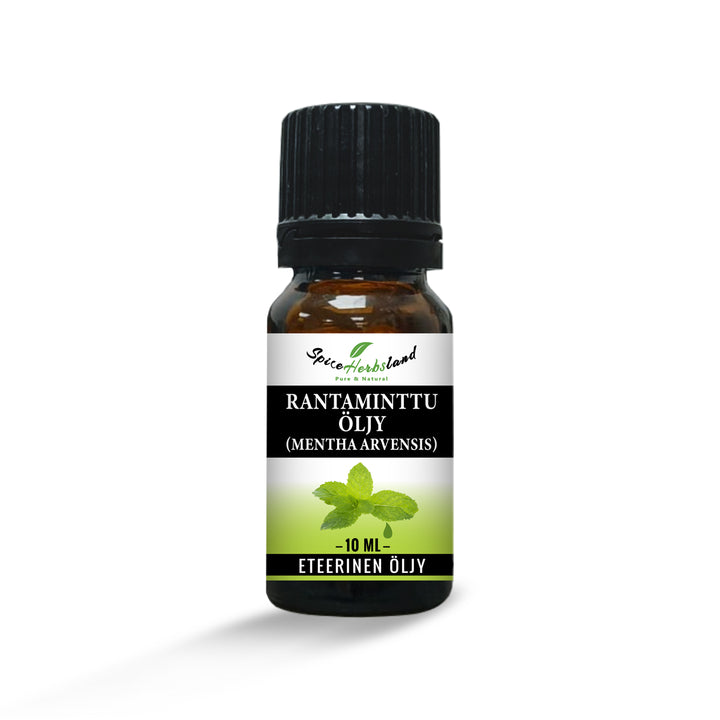 Rantaminttuöljy (Mentha arvensis)